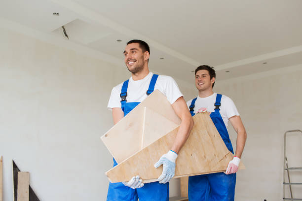Best Demolition Debris Removal  in Channahon, IL